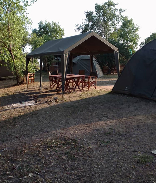 Inside The Kafue National Park, Southern Region For 3 Nights, 4 Days I   K1,880 to K2,080 per person.